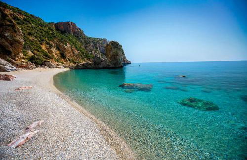 Bella Vista Apartments - Foto 22