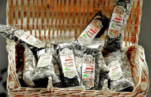 Casas do Ermo - Ermo Villas - Foto 22