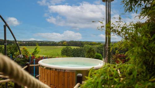 Ferienhaus Blockhaus am Hengstberg bei Dresden - Foto 2, Garden view