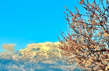 Villa Vasiliki - Foto 8