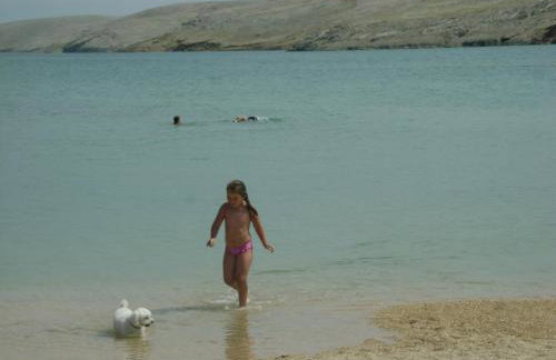 Apartments Šime - Foto 38