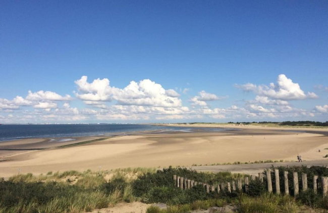 Breskens Haven: Relax, Explore & Dine - Photo 32