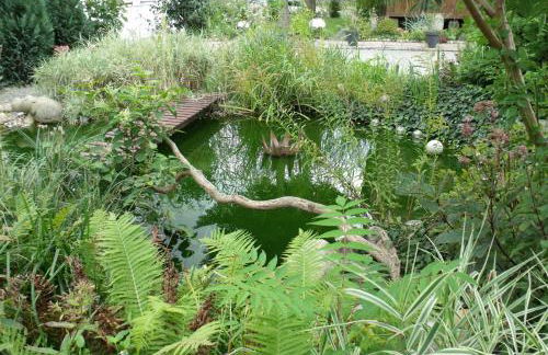Ehemalige Bibliothek Apartment für 2 mit Küche Kamin Netflix Parken und Hofladen - Foto 35