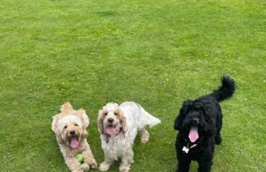 Limefield Mansion House - Foto 44