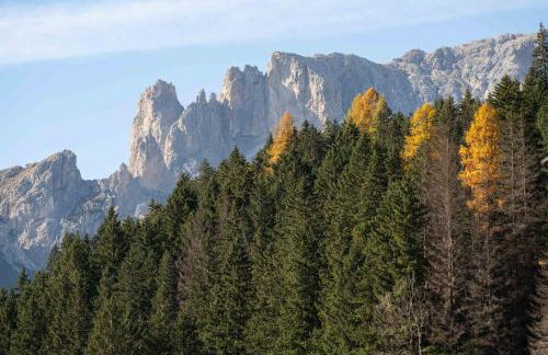 Cesa de Paio - Photo 17