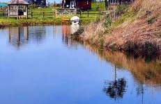 Lake View Lodges The Melford - Foto 1