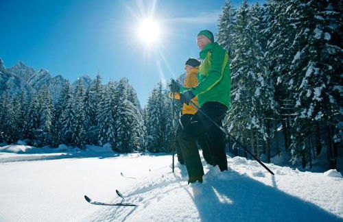 Skyview Chalets am Camping Toblacher See - Foto 29