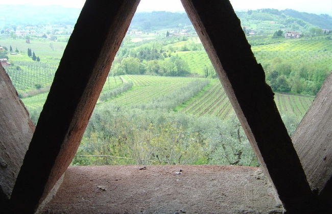 Fattoria di Fubbiano - Photo 32