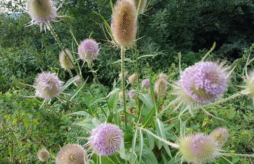 Pilgrims "Franz" großzügige Unterkunft Sauerland - Foto 27