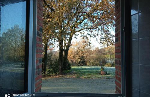 le jouc - Foto 11