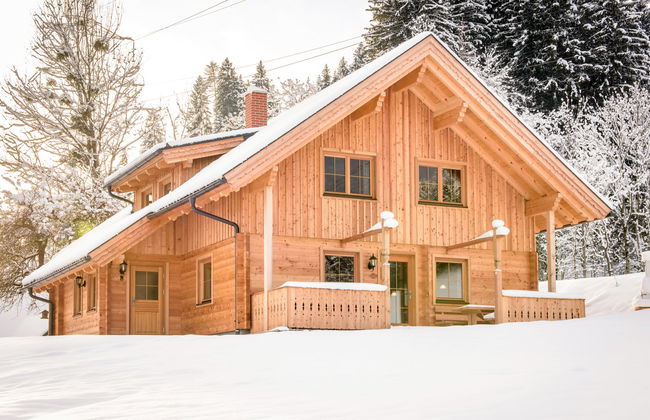 Grimmingblickhütte - Foto 42