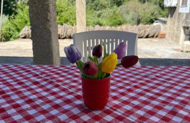 Apartman Desa Babino zlato - Photo 3