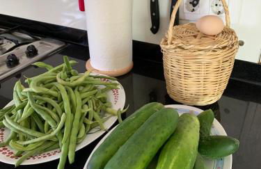 Casa de campo "La Campanera" - Photo 21