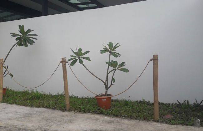 Tampoi Homestay - Foto 24