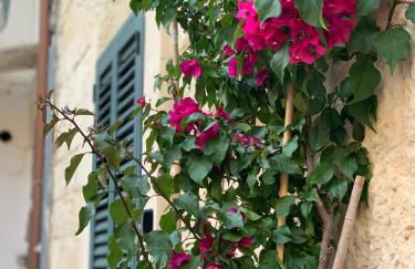 Saraceni Guest House - Lecce Centro Storico - Foto 7