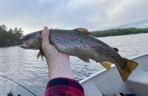 Toms Cabin On Lake Christopher - Foto 47