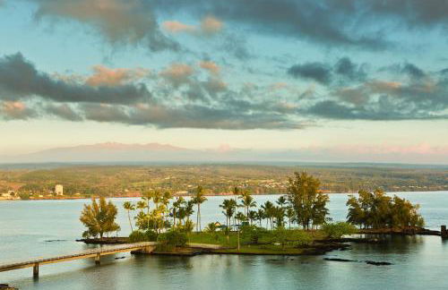 Sea Turtle Life - Photo 6