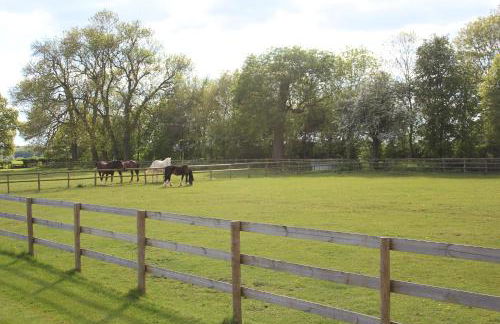 The Shepherd's Hut - Foto 15