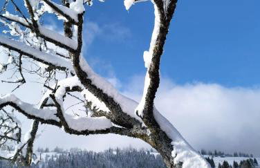 Chalet Maso Pino - Foto 30