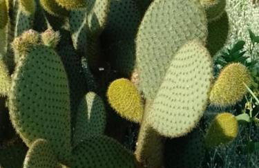 House Haus Stepcich - Foto 35