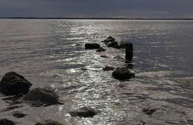 Ostsee Flair & Natur Idyll auf Rügen - Foto 35