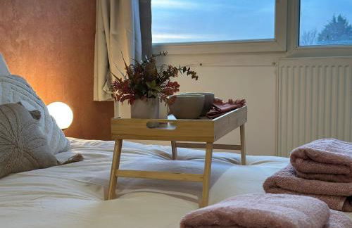 LeRelaisdOdile - Studio Cosy - Proche Metro - Parking Gratuit - Mons-en-Barœul - Foto 37