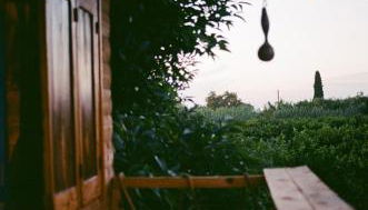 Irene's Treehouse - Photo 4
