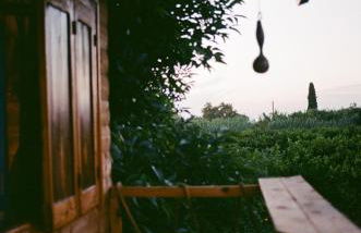 Irene's Treehouse - Foto 4