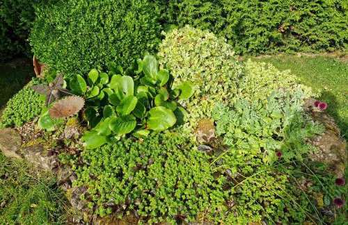 Ferienwohnung Flair - Foto 13