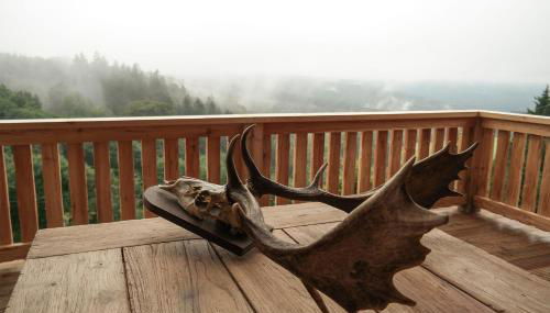 Romantikhütte Rothaarsteig - Foto 4