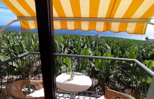 Trébol "trail Mountain La Palma" Vistas Al Mar - Foto 46