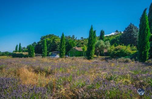 Bergerie de Lussan - Photo 47