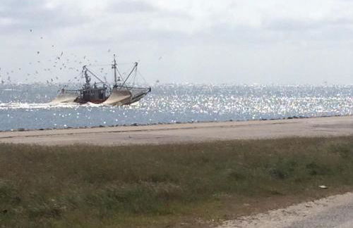 Eschen´s Blick - Foto 59