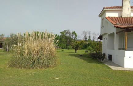 Entire villa with big garden and BBQ amenities - Foto 26