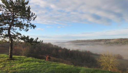 Gîtes Dans une Maison d'hôtes "Lieu Dit Cruzel" - Foto 5, Garden view