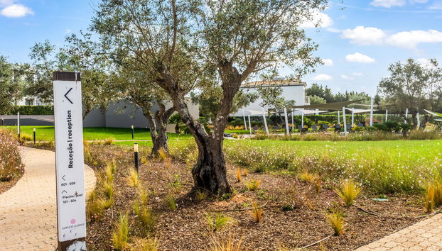 Quinta do Algarvio - Foto 2