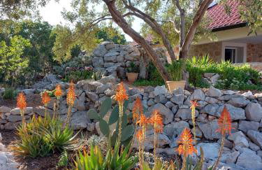 Vacation house Punta sunca - Foto 29