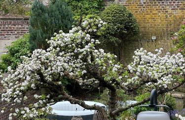 Briller Palais - Foto 20