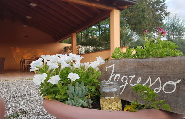 Agriturismo L'Ulivo - Foto 24