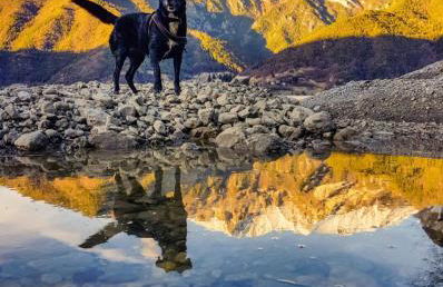 Ledro Lake Suite "Pur" - Foto 17