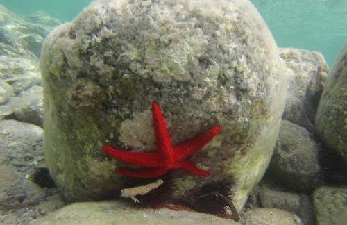 La Burbuja - Foto 35