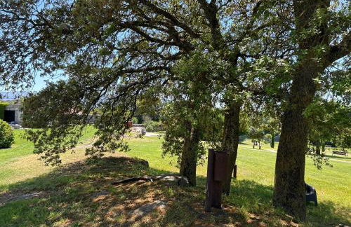 casa rural de un artista en plena naturaleza piscina y parque de esculturas en villarcayo - Photo 4