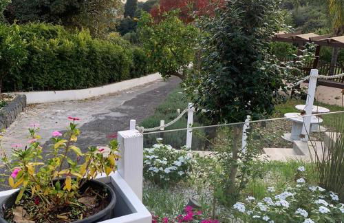 Villa Bonanno Conti - Foto 17