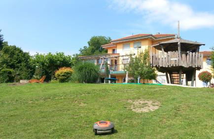 Plätzchen im Grünen - Foto 1