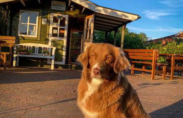 Ferienhof Ostarle - Foto 74