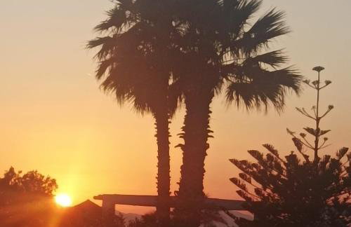 Greece-Kyllini am Strand ruhiges OG, Tierfreunde - Foto 11