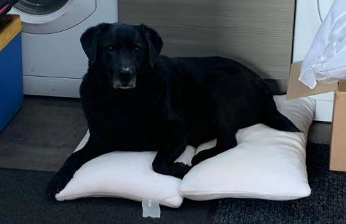 The Ploughman's Poet - Photo 33