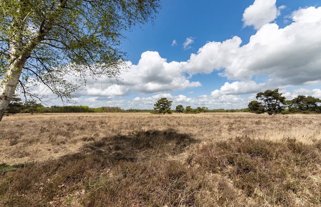 Holiday Home in Drenthe With Sauna - Foto 40