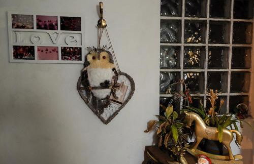 Orion Guesthouse Telhado - Foto 8