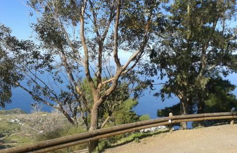 la casa di titti e jack - Foto 43